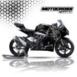 TVS RR 310 GRAPHIC KIT - BLACK PANTHER