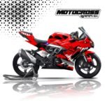 TVS RR310 GRAPHIC KIT-REDSHARK