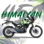 Himalayan 450 Graphics Sticker kit