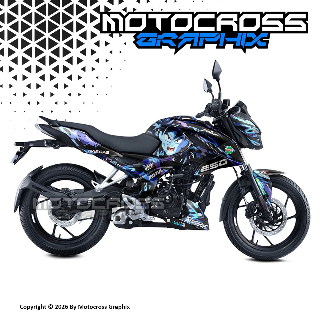 1 PULSAR N160/250 - Image 1